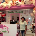 teddy-house04